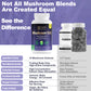 SUPABABY Mushroom 10X Supplement - 10 Mushroom Extracts for Immune Support & Mental Clarity - Vegan, Non-GMO - 60 Capsules